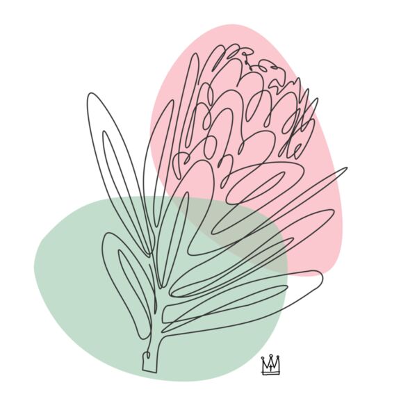 protea line Thumbnail