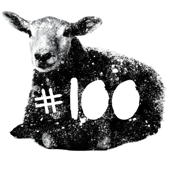 sheep FINAL Thumbnail