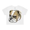 AS Colour / Wo's CROP TEE Thumbnail